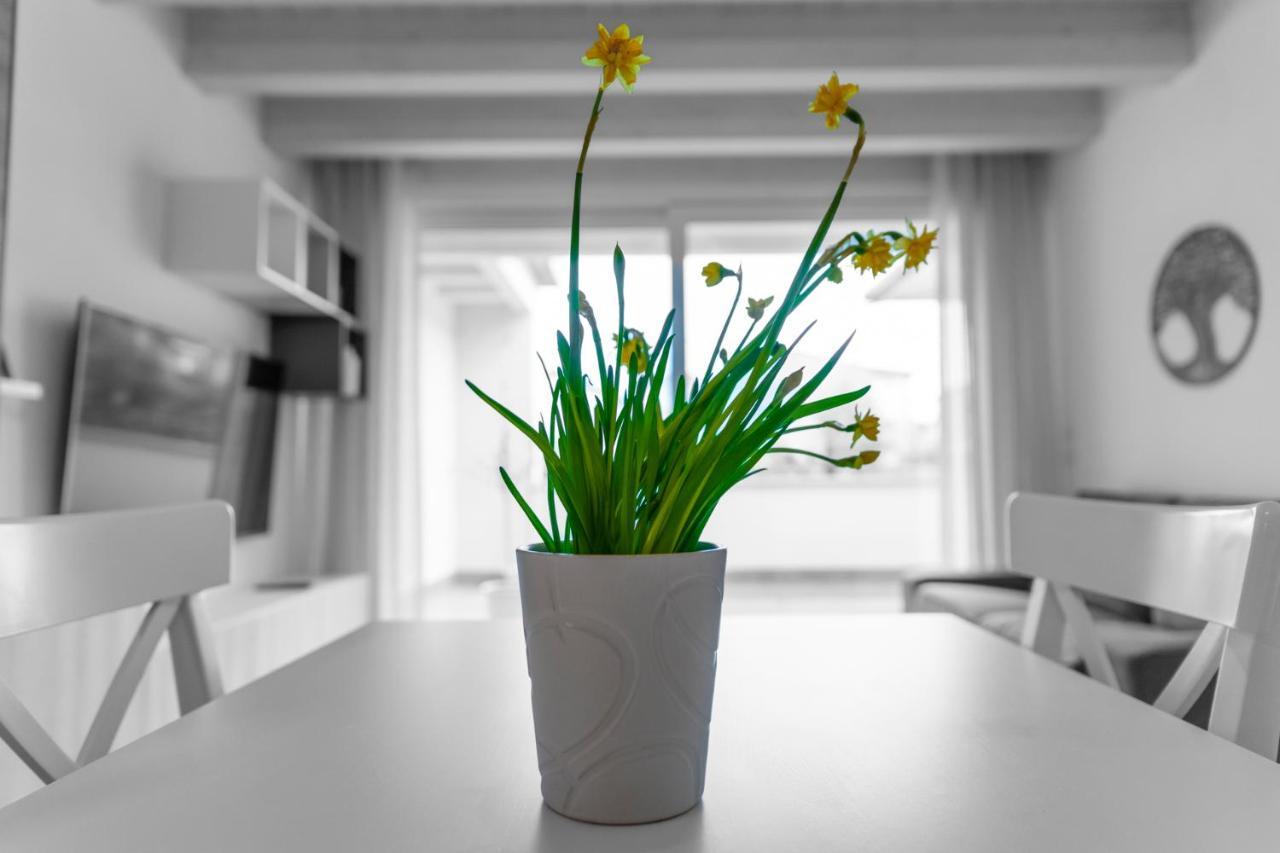 Verona Urban Apartment Extérieur photo